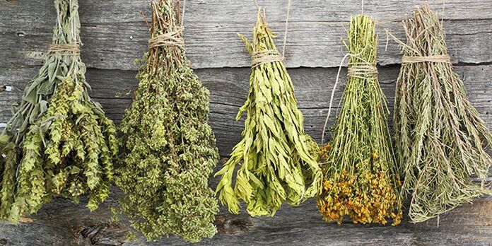 herbs for the treatment of shoulder arthritis